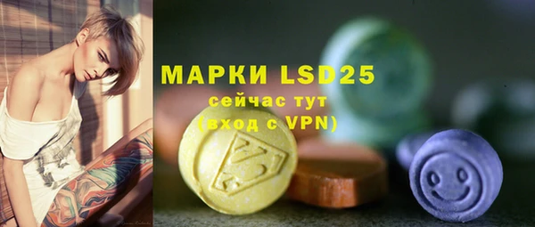 стафф Аркадак