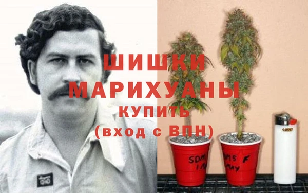 стафф Аркадак