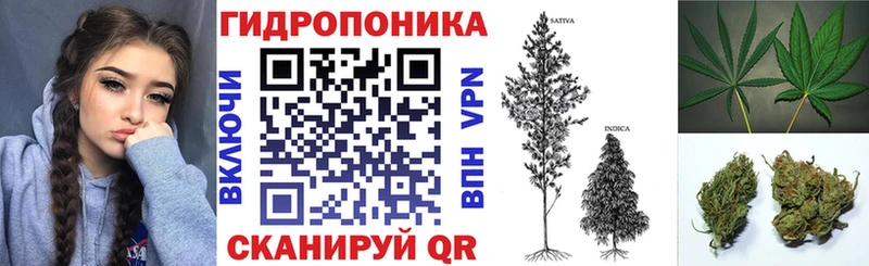Бошки Шишки сатива Спасск-Рязанский
